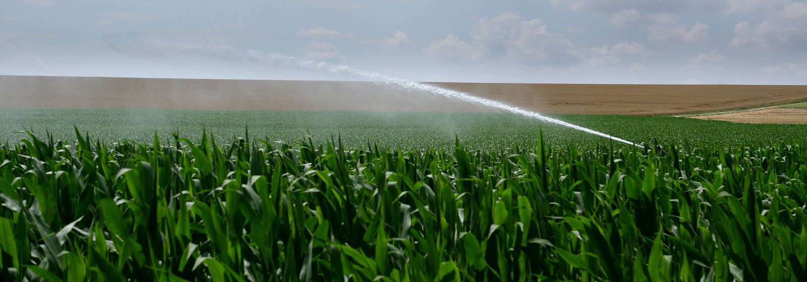 Armony du Feu - Irrigation